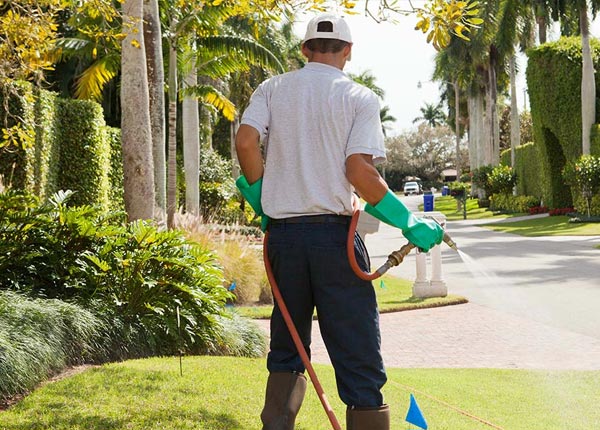 About Harriman TN Pest Control Pros